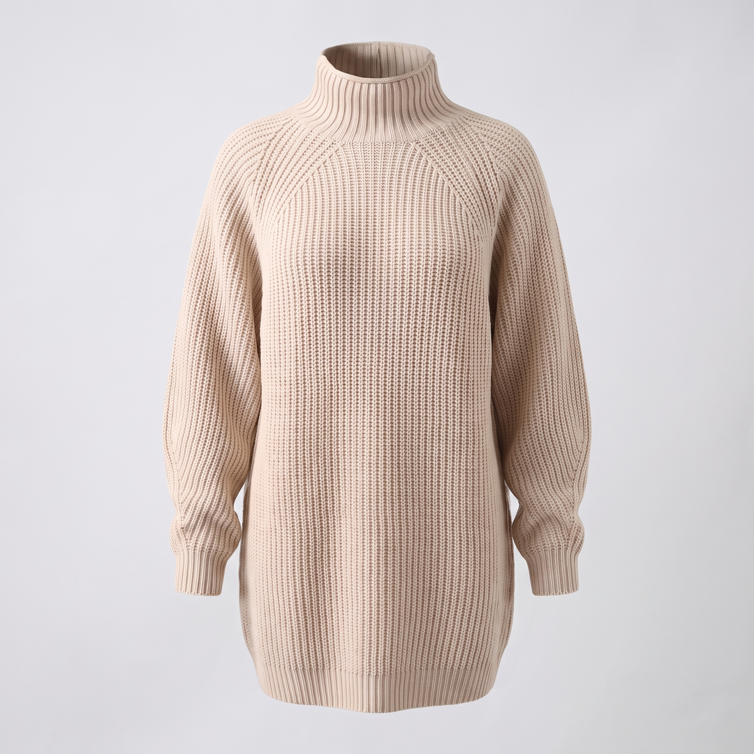 FLORIANA COSY ROLL-NECK DRESS